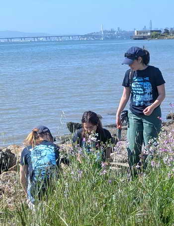 Student volunteers remove pepperweed on the shoreline
