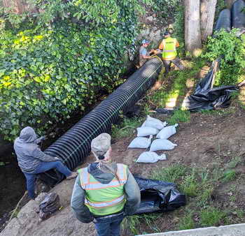DewateringCodornices Creek to fix leanng retaining wall