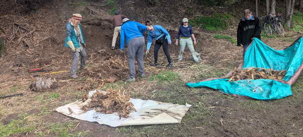 Beth Israel volunteers and Weed Warriors finished off the huge Arundo patch at Aquatic Park