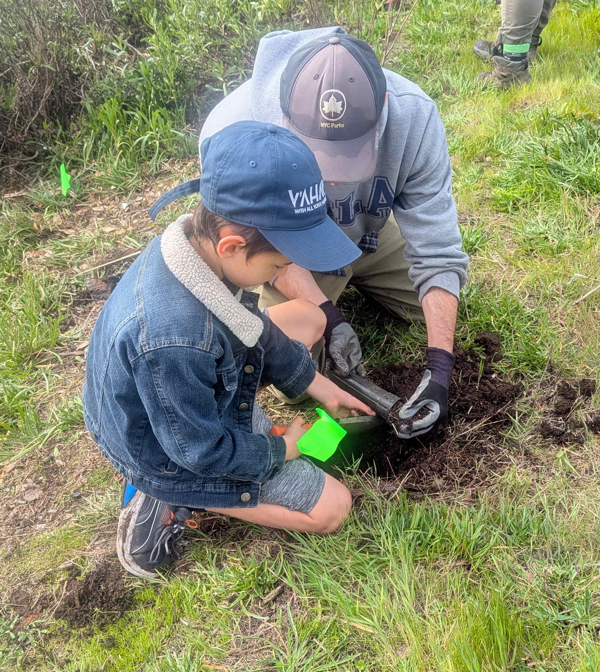 Members of Congregation Beth Israel planted natives at Berkeley's Aquatic Park for the Jewish Holiday of the Trees