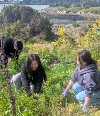 UC Berkeley volunteers from Alpha Phi Omega volunteers tackled spring weeds at the mouth of Strawberry Creek