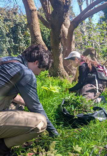 Interns working at Cerrito Creek