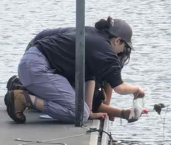 F5C interns sampling in Aquatic Park